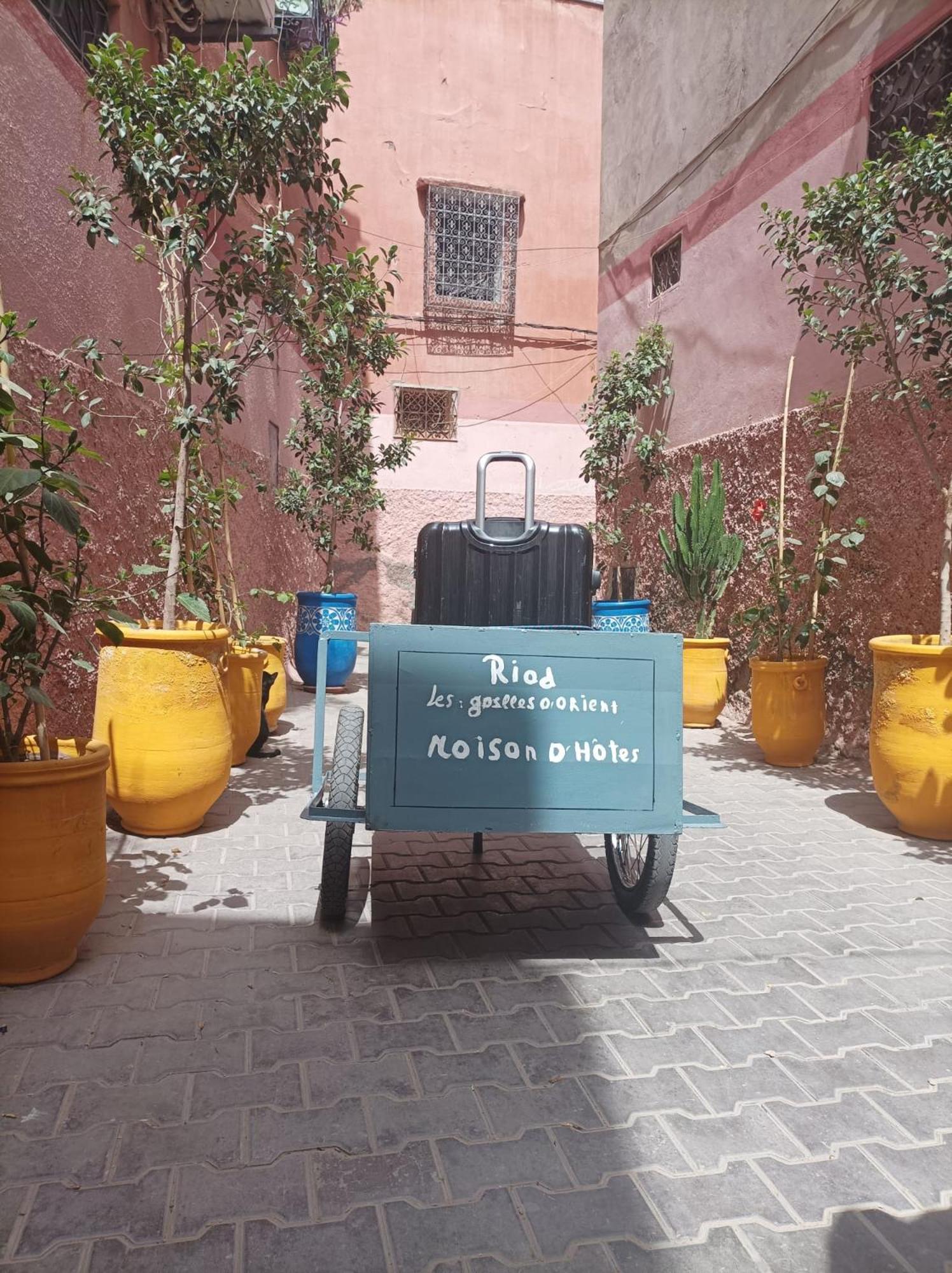 Riad Les Gazelles D'Orient Marrakech Marakéš Exteriér fotografie